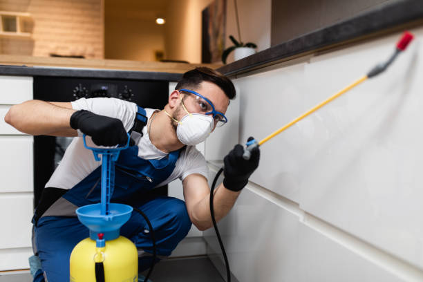 Pest Control for Restaurants in Lonaconing, MD
