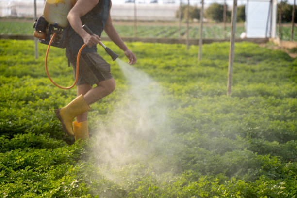 Best Best Pest Control Companies  in Lonaconing, MD