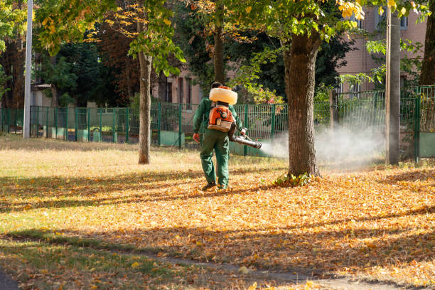 Wildlife Control Services in Lonaconing, MD