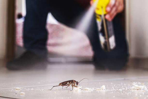 Best Pest Prevention Services  in Lonaconing, MD