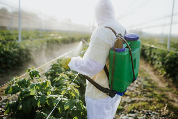 Best Emergency Pest Control  in Lonaconing, MD
